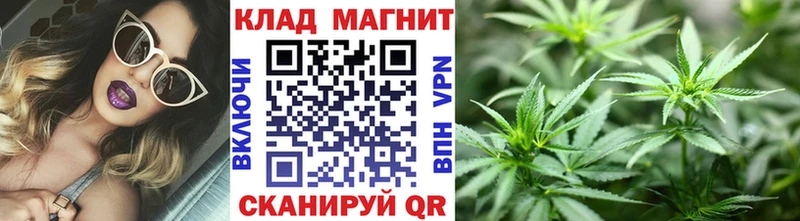 Какие есть наркотики Североуральск АМФ  OMG зеркало  ГАШ  Cocaine  Каннабис  СК 