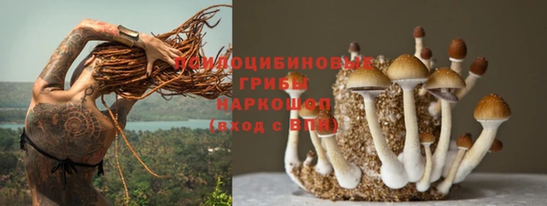 соль ск Алзамай