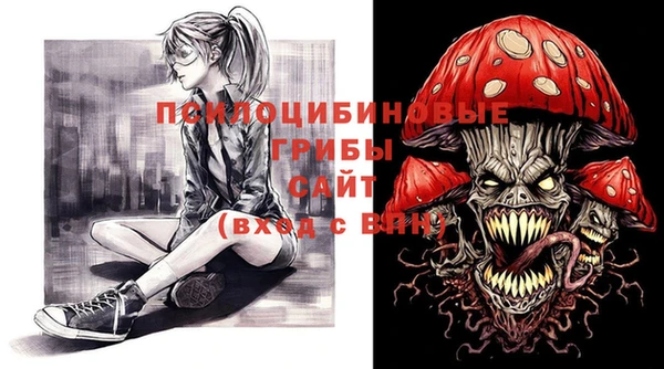 прущая мука Арсеньев