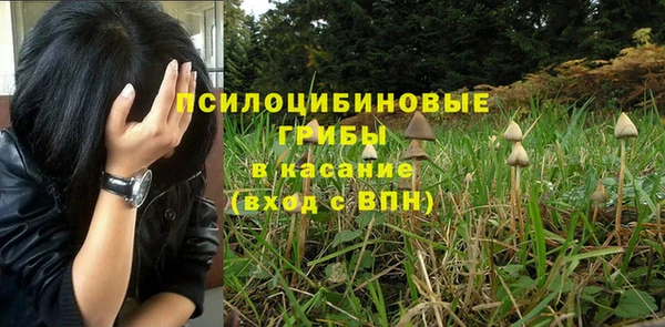 СК Армянск