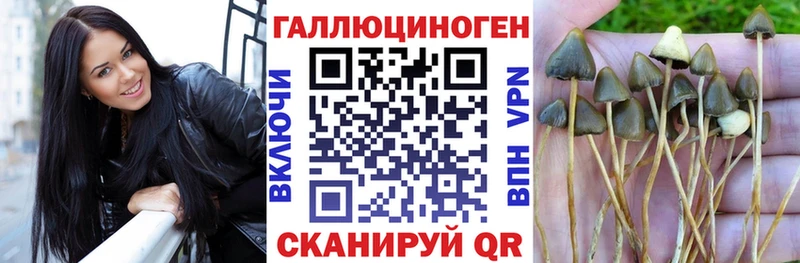 мориарти телеграм Североуральск Псилоцибиновые грибы ЛСД