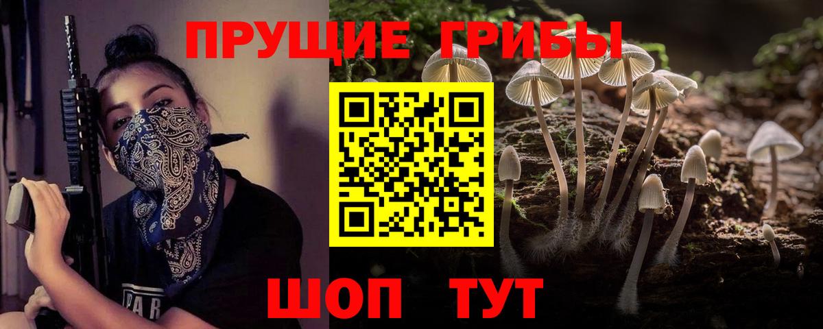 Североуральск  Галлюциногенные грибы Magic Shrooms  Вход с VPN 